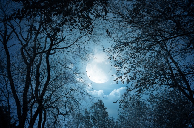 夜晚月亮图片(点击浏览下一张趣图)