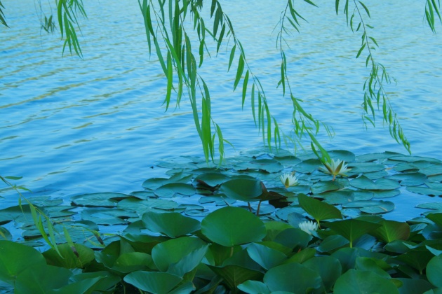高清湖边风景图片(点击浏览下一张趣图)