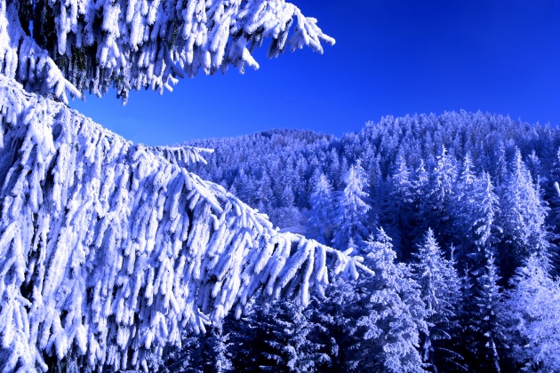 高清雪景图片(点击浏览下一张趣图)