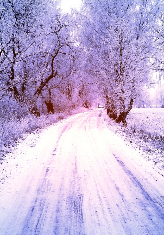 雪中的小路图片(点击浏览下一张趣图)
