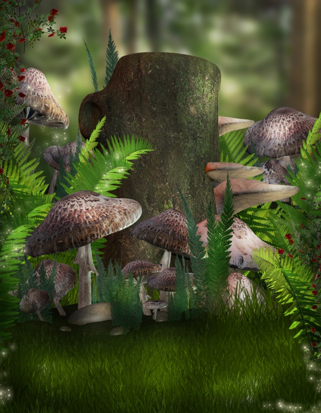 高清森林蘑菇图片(点击浏览下一张趣图)
