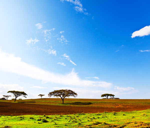 高清非洲草原图片(点击浏览下一张趣图)