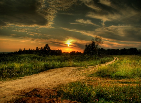 野外草地夕阳图片(点击浏览下一张趣图)