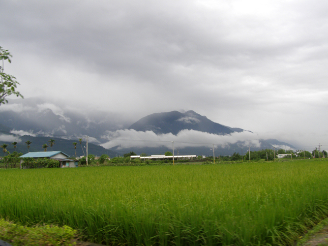 农村稻田风景图片(点击浏览下一张趣图)