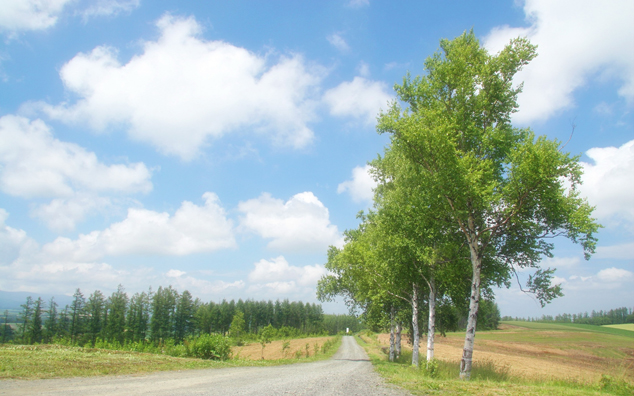 公路风景素材图片(点击浏览下一张趣图)