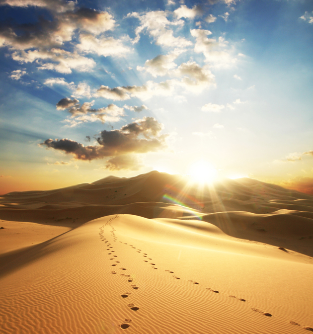 沙漠黄昏图片(点击浏览下一张趣图)