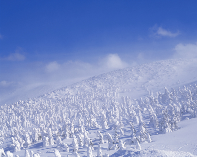 日本雪地风光图片(点击浏览下一张趣图)