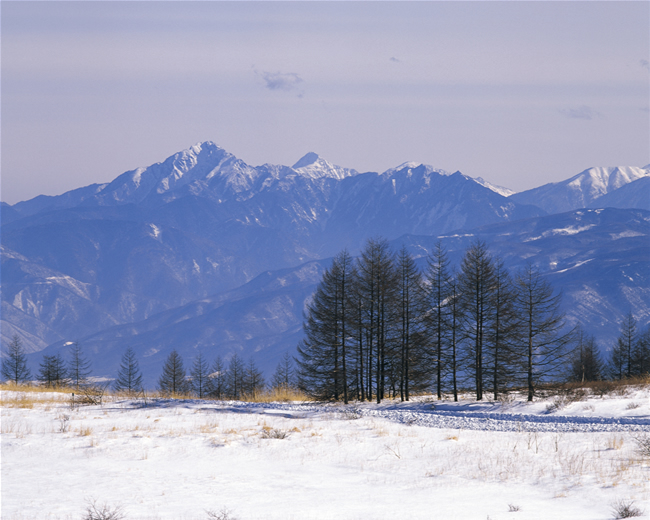 日本雪景图片(点击浏览下一张趣图)