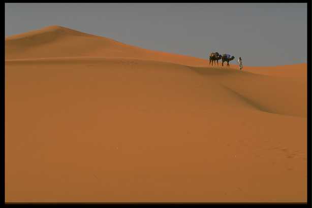 沙漠风光 11(点击浏览下一张趣图)