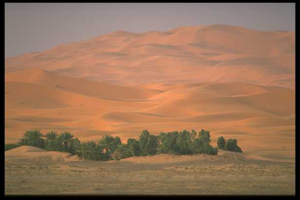 沙漠风光 19(点击浏览下一张趣图)