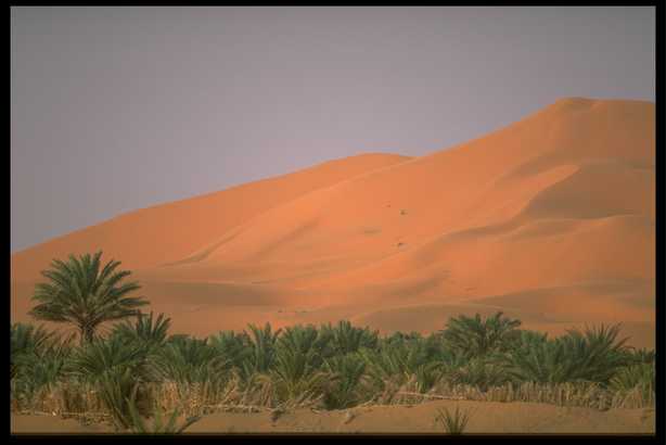 沙漠风光 24(点击浏览下一张趣图)