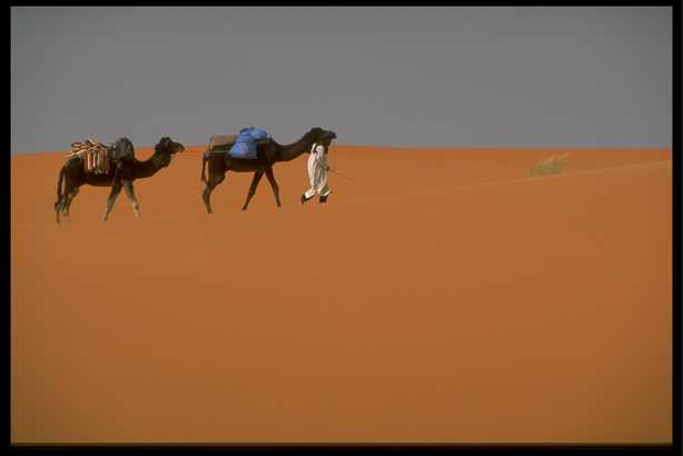沙漠风光 1(点击浏览下一张趣图)