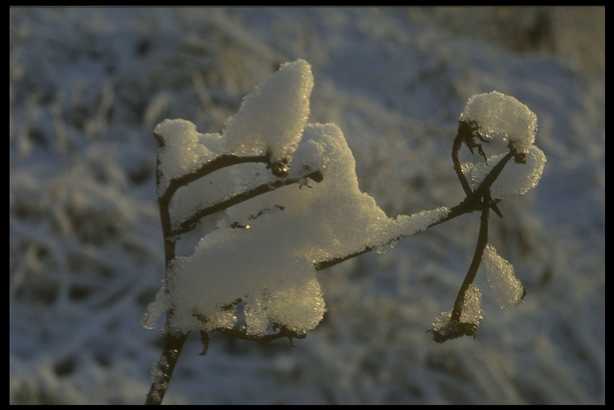 冰天雪地 662(点击浏览下一张趣图)