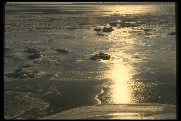 冰天雪地 607(点击浏览下一张趣图)