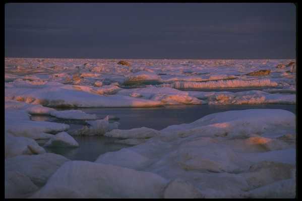 冰天雪地 532(点击浏览下一张趣图)