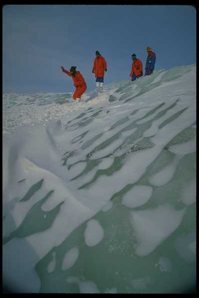 冰天雪地 559(点击浏览下一张趣图)
