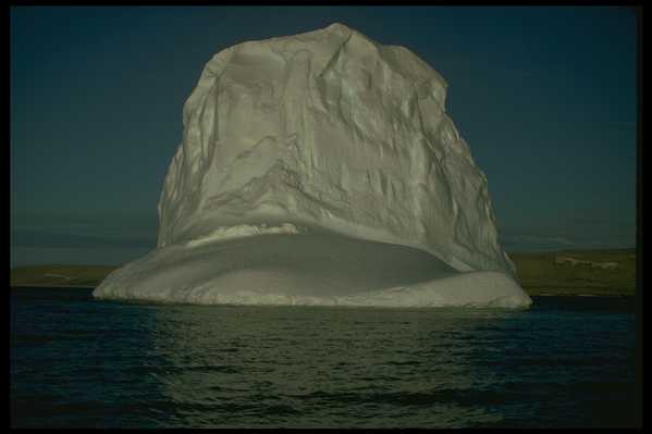 冰天雪地 584(点击浏览下一张趣图)