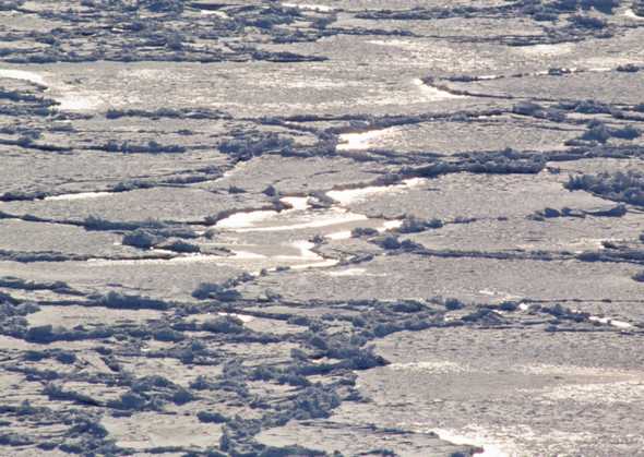 冰天雪地 431(点击浏览下一张趣图)