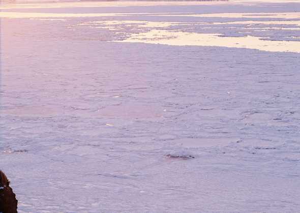 冰天雪地 442(点击浏览下一张趣图)