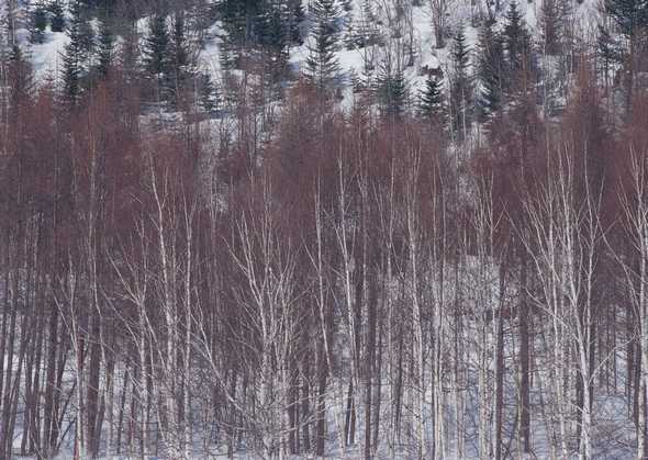 冰天雪地 448(点击浏览下一张趣图)