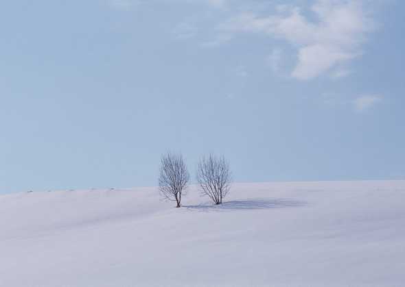 冰天雪地 464(点击浏览下一张趣图)