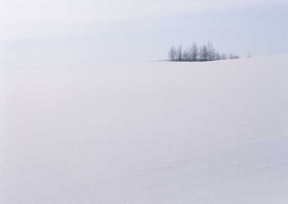 冰天雪地 305(点击浏览下一张趣图)