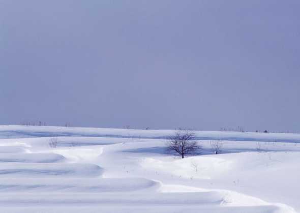 冰天雪地 308(点击浏览下一张趣图)