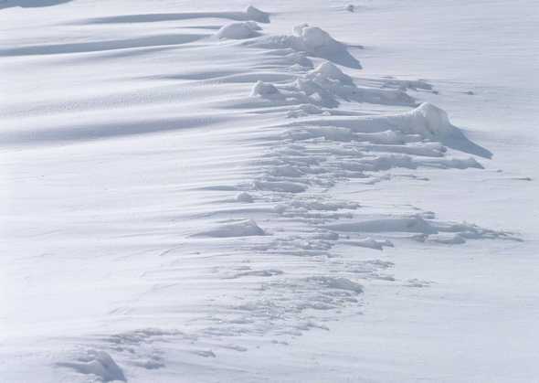 冰天雪地 319(点击浏览下一张趣图)