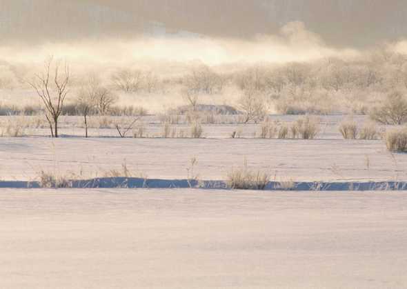 冰天雪地 331(点击浏览下一张趣图)