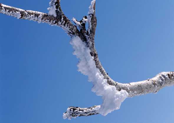 冰天雪地 371(点击浏览下一张趣图)