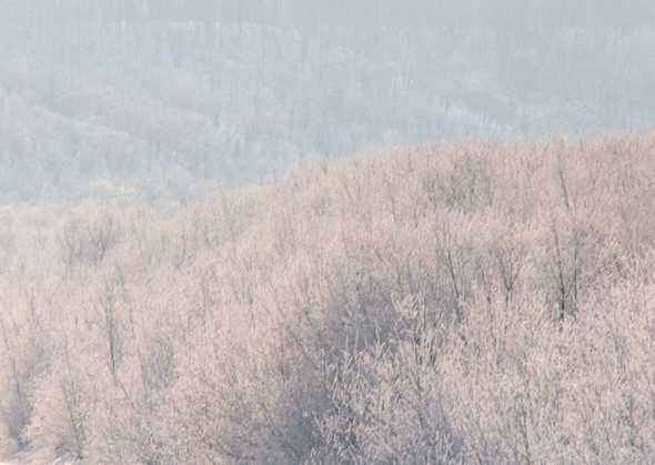 冰天雪地 385(点击浏览下一张趣图)