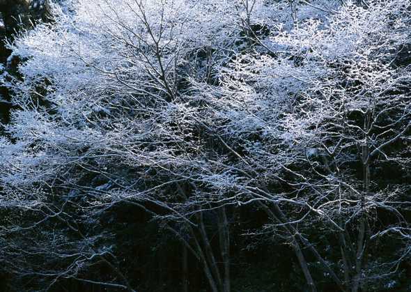 冰天雪地 189(点击浏览下一张趣图)