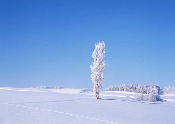 冰天雪地 200(点击浏览下一张趣图)