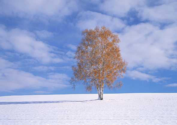 冰天雪地 201(点击浏览下一张趣图)