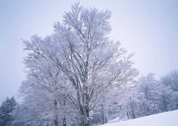 冰天雪地 222(点击浏览下一张趣图)