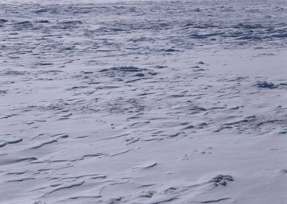 冰天雪地 17(点击浏览下一张趣图)