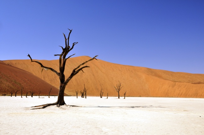 荒凉沙漠图片(点击浏览下一张趣图)