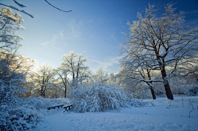 冬天雪景图片(点击浏览下一张趣图)