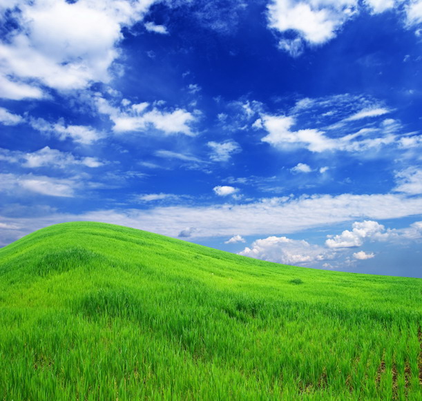 草地天空风景图片(点击浏览下一张趣图)