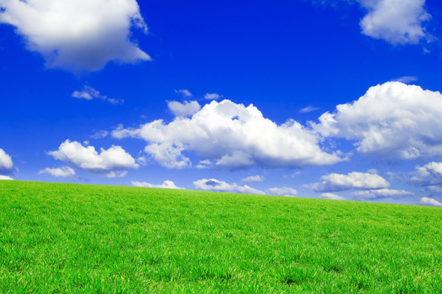 草地天空风景图片(点击浏览下一张趣图)