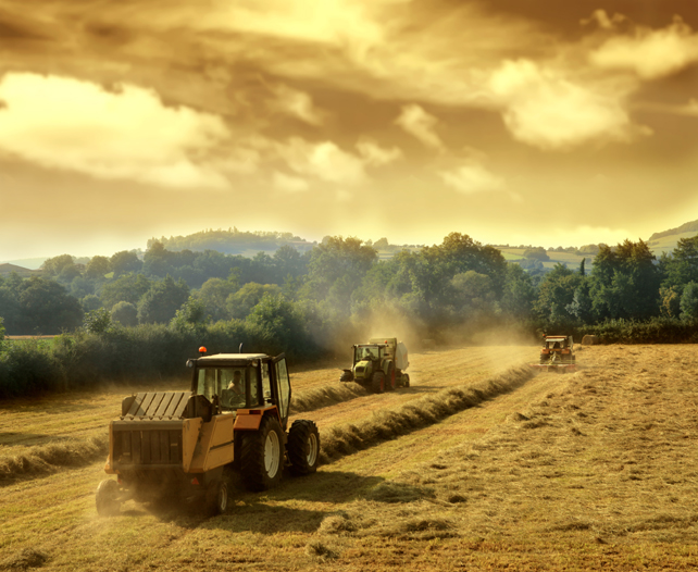 农场风景素材图片(点击浏览下一张趣图)