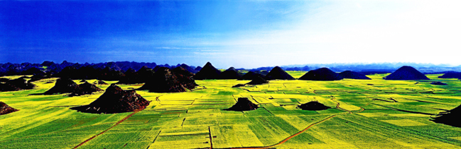 稻田风景图片(点击浏览下一张趣图)