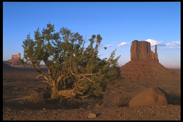沙漠风景图片(点击浏览下一张趣图)