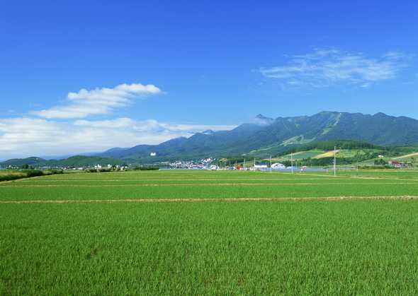 田园风光图片(点击浏览下一张趣图)