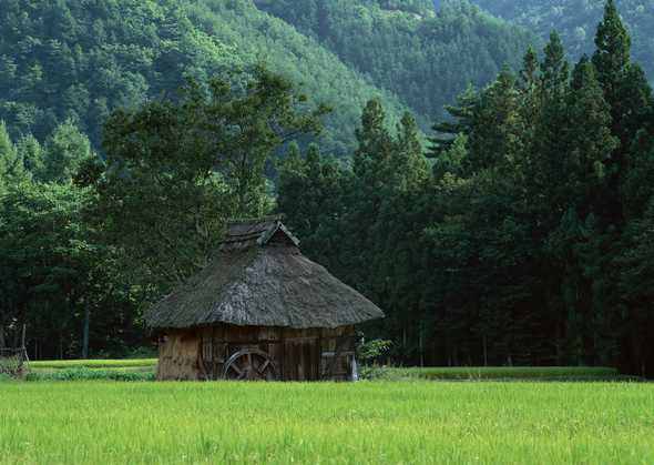 田园风光图片(点击浏览下一张趣图)