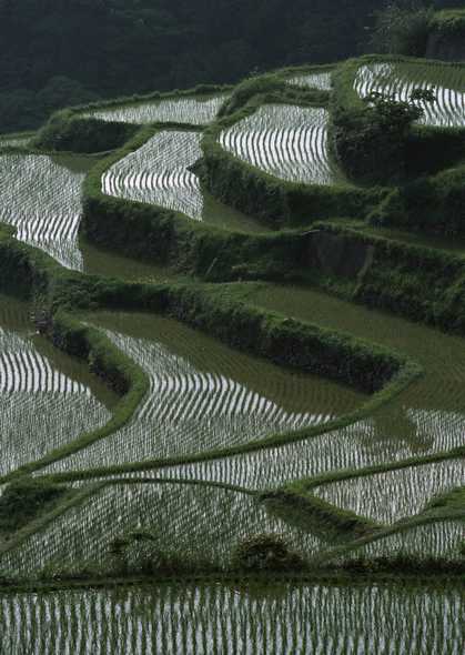 田园风格图片(点击浏览下一张趣图)