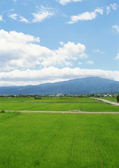 田园风光图片(点击浏览下一张趣图)