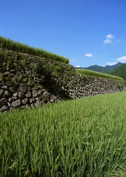 田园风光图片(点击浏览下一张趣图)