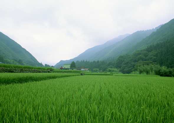 田园风光图片(点击浏览下一张趣图)