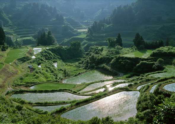 田园风景图片(点击浏览下一张趣图)